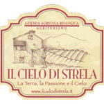 Logo "Il cielo di Strela". Progetto Gruppo LEN